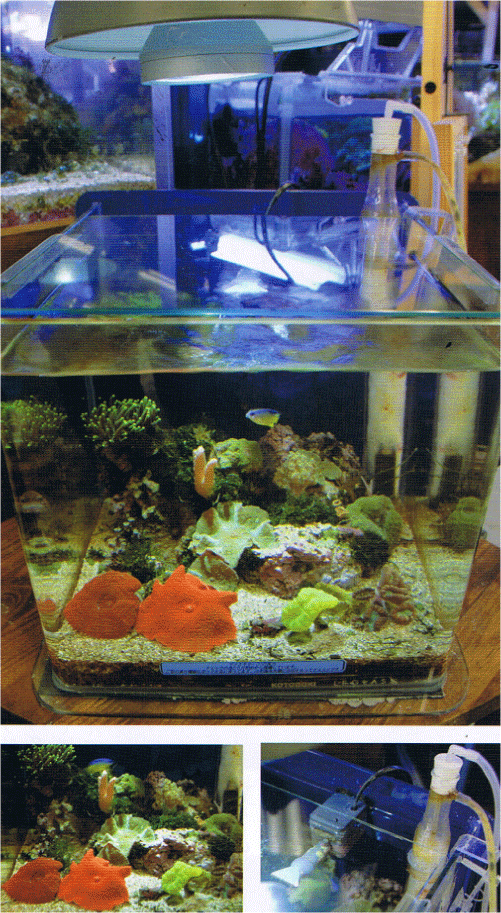 �ݒu�摜�y�`�q�d�`�i�G���A�j�z�}���X�L�}�[�R