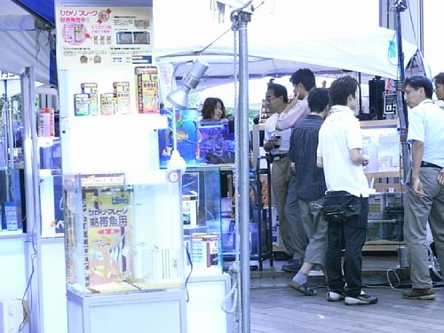 �}���f�U�C���̔̔��X�^�b�t�ɂ�铮�����