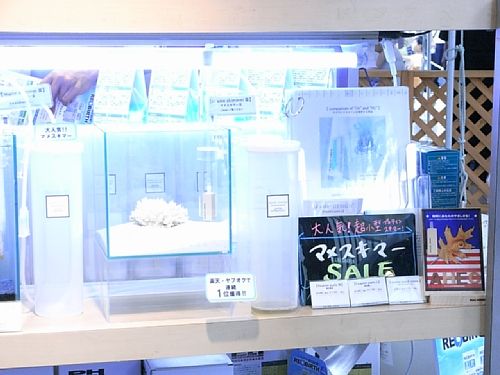 �}���X�L�}�[�R�̂Q�O���������W�����i