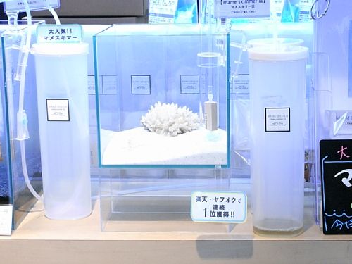 �Q�O�����̐����ł��ז��ɂȂ�܂���