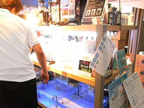 �}�����e���g�u�[�X��