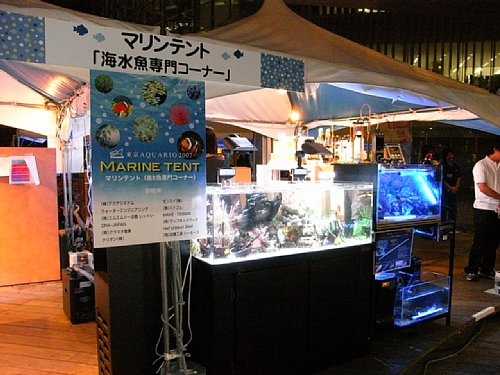 ���C�g�A�b�v