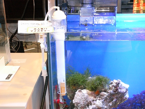 ���̐����ɐݒu���ꂽ�}���X�L�}�[�I