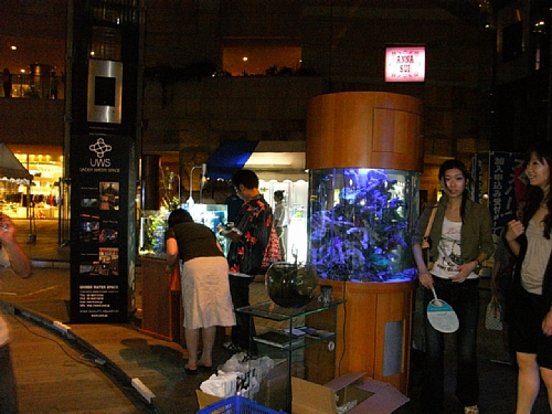 ��̓����A�N�A���I�Q�O�O�V