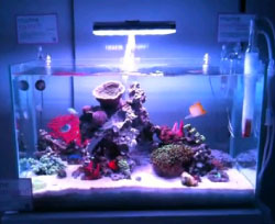 �ꍻ�ݒu��P�����̏��