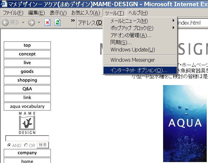 �c�[�� �� �C���^�[�l�b�g �I�v�V�����y Internet Explorer Menu �z�C���^�[�l�b�g�G�N�X�v���[���E���j���[