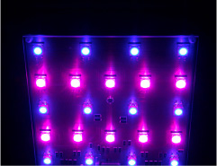 �}���G�R���C�g-�ԂƐS�_��