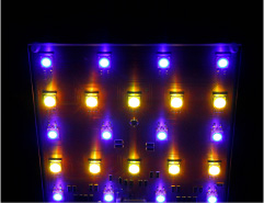 �}���G�R���C�g-�ԂƗΑS�_��