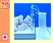 �y�V�����L���O�s��(�C���p�i)��}���X�L�}�[