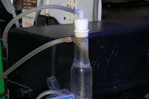 �e�B�A����{�X�̃}���X�L�}�[�R�i���ꒊ�o��j