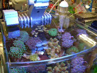 �ݒu�摜02�y�A�N�A�X�e�[�W�Q�P��ʓX�z�}���X�L�}�[�Q