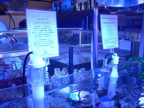 �ݒu�摜01�y�A�N�A�����h�z�}���X�L�}�[�R