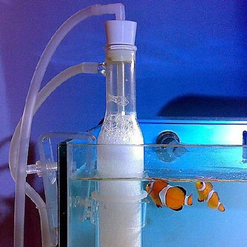 �ݒu�摜03�y�A�N�A��v���V���b�v�z�}���X�L�}�[�R