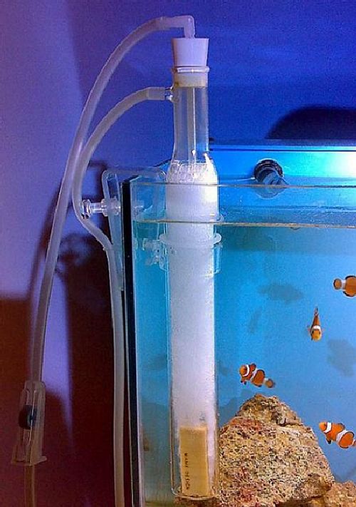 �ݒu�摜04�y�A�N�A��v���V���b�v�z�}���X�L�}�[�R