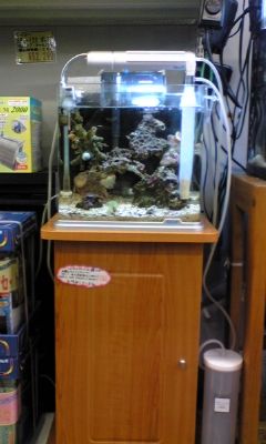 �ݒu�摜01�y�y�b�g�G�R�Ó�X�z�}���X�L�}�[�R