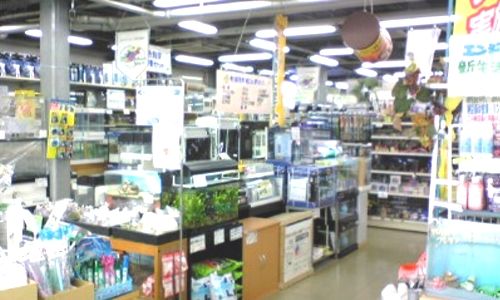 �ݒu�摜02�y�y�b�g�G�R�Ó�X�z�}���X�L�}�[�R