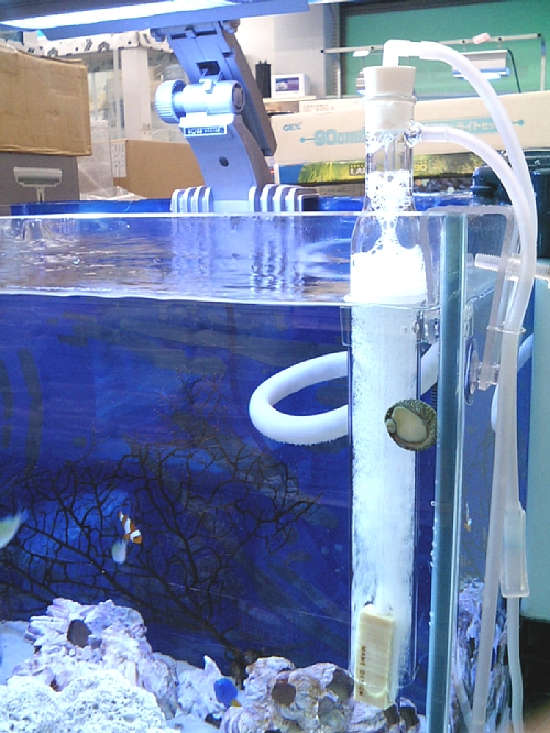 �ݒu�摜02�y�y�b�g�G�R�s�}�X�z�}���X�L�}�[�R