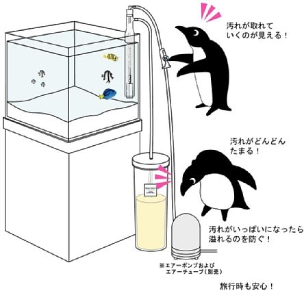 �}���X�L�}�[30���������ݒu�C���[�W�y MAME�DESIGN-AQUA �z�}���f�U�C��-�A�N�A