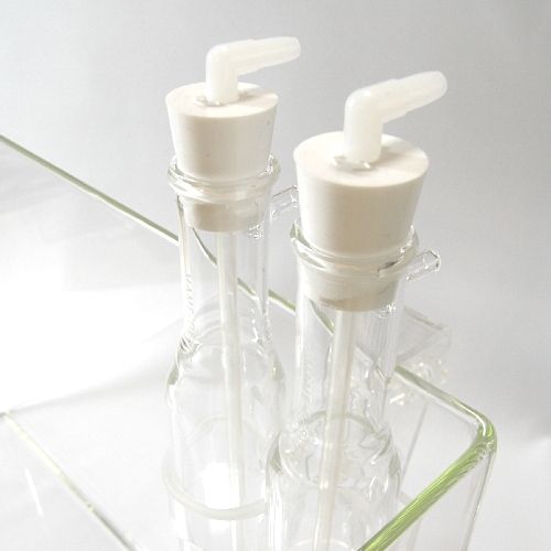 �ݒu�摜02�y�Q�{�g���z�}���X�L�}�[�R