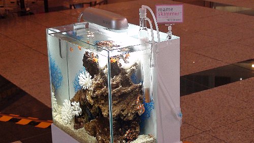 �u�[�X�����~�j�������}���X�L�}�[�R