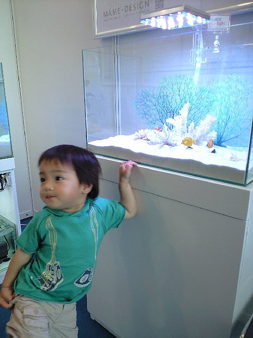 �}���G�R���C�g����